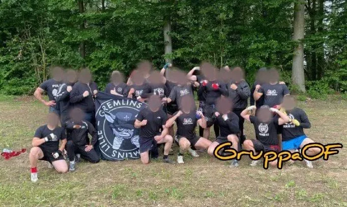 les-gremlins - photo 1