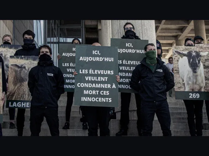 reseau-pythagore - photo 0