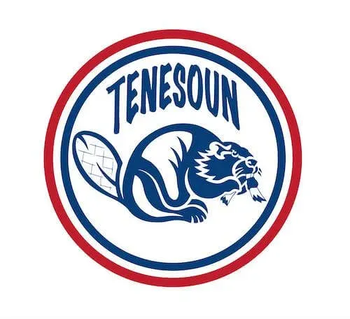 Logo - Tenesoun